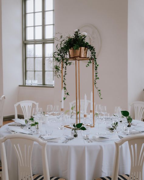 Fotograf Therese Willén